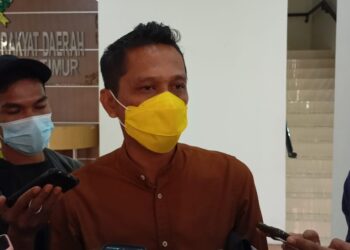 Tio: Selain Sebagai Bahan Pangan, Manfaat Porang Juga Campuran Untuk Lem Pesawat Sukoi