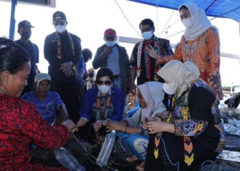 Gubernur Kaltara akan Optimalkan PAD dari Rumput Laut