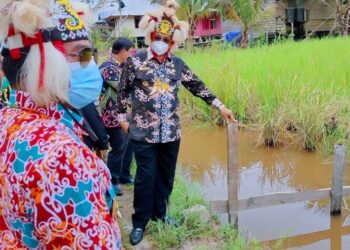 Warga Desa Long Pari Syukuran Panen Berlimpah Bersama Gubernur dan Wakil Gubernur