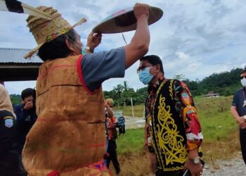 Gubernur Hadiri Acara Selesai Panen Masyarakat Desa Long Sam