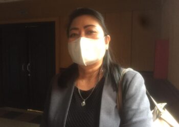 Veridiana: Minta Penambahan Penyertaan Modal, Diharapkan Dapat Memudahkan Tahun Berikutnya