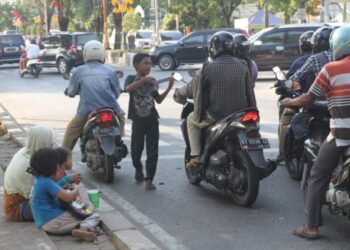 Komisi IV DPRD Samarinda Anggap Penegakan Perda Anjal Hanya Formalitas