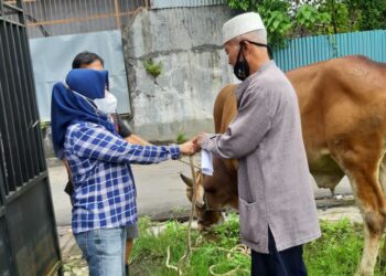 Peringati Idul Adha 1442 H, DPW Partai NasDem Kaltim Laksanakan Pemotongan Hewan Qurban