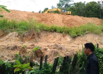 DPRD Minta Satpol PP tindak tegas Kasus Pengupasan Lahan yang tidak Berijin