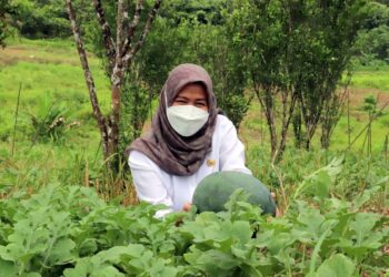 Yana Sebut Hortikultura Merupakan Produk Yang Dibutuhkan Secara Berkelanjutan