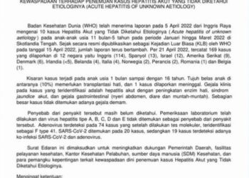 Dinkes Kaltim Imbau Masyarakat Waspada Hepatitis Akut