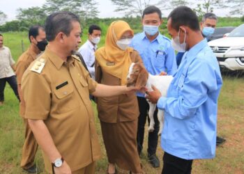 Wagub Apresiasi PT. EMAS, Harapkan Perusahaan Lain Dapat Menirunya