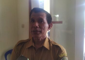 Kadis Peternakan : Penularan PMK pada Ternak Seperti COVID-19