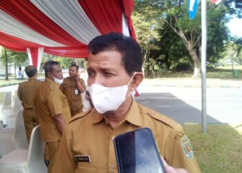 Pastikan Aman, Suplai Ternak Masuk Kaltim Diperketat