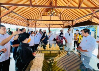 Presiden Jokowi Tinjau Progres Pembangunan Bendungan Sepaku Semoi