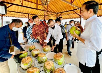Saat Presiden Jokowi Nikmati Kelapa Muda di Bendungan Sepaku