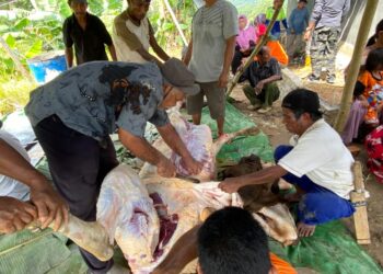 Rayakan Hari Raya Iduladha, Warga Buton Potong Hewan Kurban di Musala Tengah Hutan