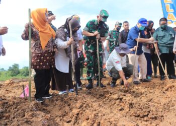 Perkuat Sinergi Ketahanan Pangan, Kodam VI/Mlw latihkan pelatihan tanaman Sorgum di Lahan Transad