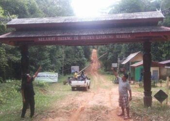Kutai Timur Miliki Hutan Lindung Wehea di Muara Wahau