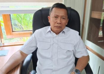 Soal Penghapusan Tenaga Honorer, Parlindungan Meminta Agar  Di Tinjau Kembali