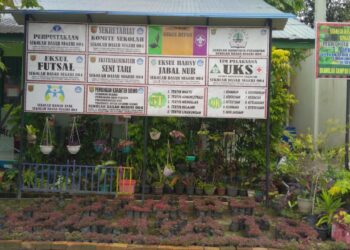 Sekolah Adiwiyata 004 Sungai Pinang Menuju Tingkat Nasional