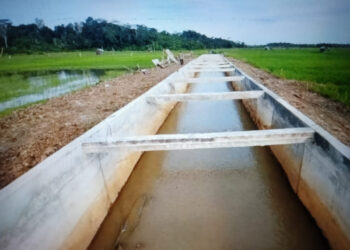 Terus Lakukan Pembangunan, Ketersediaan Pangan Kaltim Turut Jadi Prioritas