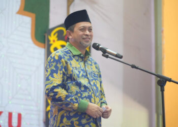 Harapkan Kreatifitas Dan Inovasi, Wagub Kaltim Katakan DMI Harus Visioner Membangun Generasi Masjid