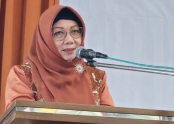 Dorong Target ARG Diangka 14,55 Persen, Kadis DKP3A Harapkan Pokja PUG Kerja Maksimal