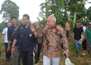 Tim Setmilpres Lakukan Peninjauan Lahan Pertanian, Gubernur Kaltim Turut Hadir Dilapangan