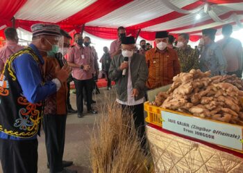 Tingkatkan SDM, Dinas Koperasi Rutin Lakukan Pelatihan dan Promosi