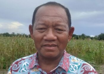 Bangun Kemitraan Dengan Masyarakat, Dispartan Siapkan Ketersediaan Ayam Potong Lokal