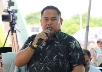 Wujudkan Smart City Upayakan Peningkatan SDM Melalui Literasi Digital