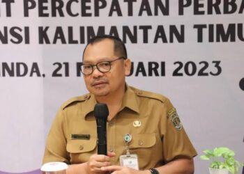 Masih Manjadi Kendala, Dinkes Kaltim Keluhkan Minimnya Sarpras