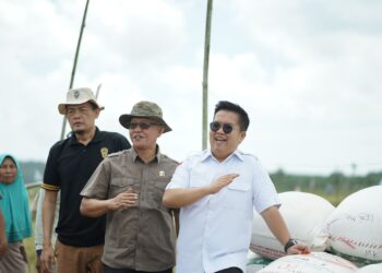 Pernyataan Rendi Solihin Soal Ketahanan Pangan Dapat Respon Positif dari OIKN