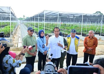 Persemaian Mentawir Hampir Selesai, Presiden: Ini untuk Hijaukan IKN