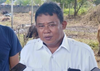 Distanak Kukar Salurkan Bantuan 308 Ekor Bibit Sapi Ras Bali Pada Tahun 2023