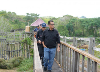 Beri Apresiasi UPTD PTHPT, Pj Gubernur Kaltim Katakan Penangkaran Rusa Di Penajam Perlu Di Perluas