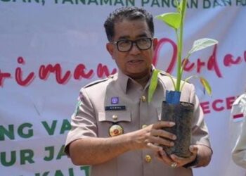 Penjabat Gubernur Apresiasi Dinas Pangan Kaltim, Kirim 6.000 Benih Pisang ke Kutim