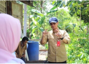 Upaya Disbun Kaltim Dorong Sertifikasi ISPO Kebun Sawit Swadaya  