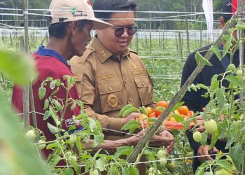 Genjot Sektor Pertanian Kukar Sebagai Lumbung Pangan IKN, Edi – Rendi Gelontorkan 700 M