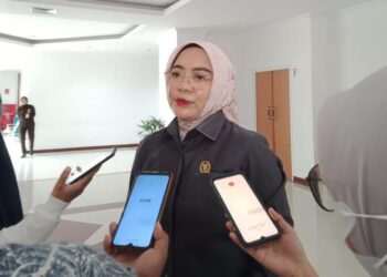 Soal UMKM Masuk E-Katalalog, Ini Tanggapan Laila Fatihah