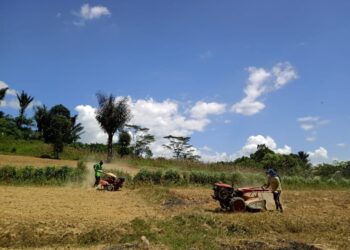 Kelurahan Jahab Prioritas Pembangunan Pertanian
