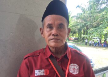 Pertanian di Desa Cipari Makmur Mendapat Bantuan dari Pemkab Kukar, Pengembangan Padi Sawah