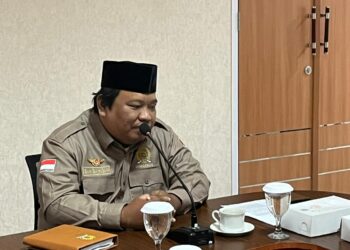 Sani Sebut Pernikahan Dini Salah Satu Sebab Stunting