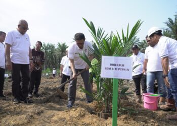 PTPN IV Regional I Realisasikan 744,93 Ha Lahan Peremajaan Sawit Rakyat hingga Juli 2024