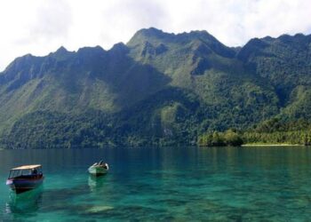 Jumlah Wisatawan Yang Mengunjungi Berau Pada Tahun 2024