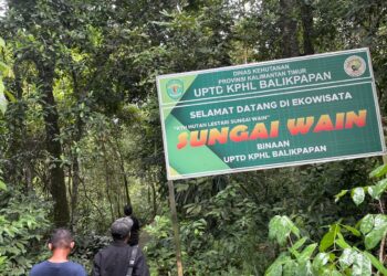 Pesona Sungai Wain, Replika Hutan Asli Kalimantan yang Menakjubkan