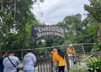 Dispar Kaltim Perkenalkan Wisata Edukasi dan Konservasi di KWPLH Beruang Madu
