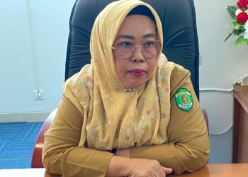 Dispora Kaltim Ajak Generasi Muda Ambil Peran dalam Sektor Ekonomi Kreatif