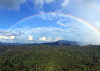 Hutan Lindung Wehea, HutanTropis Nan Perawan di kabupaten Kutai Timur