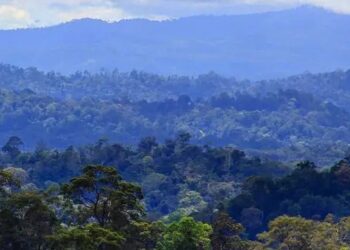 Gunung Lumut, Permata Tersembunyi di Kabupaten Paser