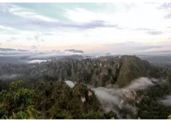 Gunung Beriun: Petualangan Ekstrem Di Tengah Pegunungan Karst Kalimantan Timur