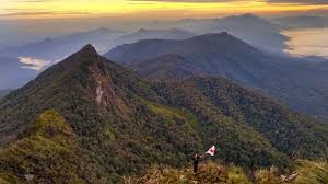 Gunung Cemaru, Pesona Alam dan Keberagaman Hayati di Kalimantan