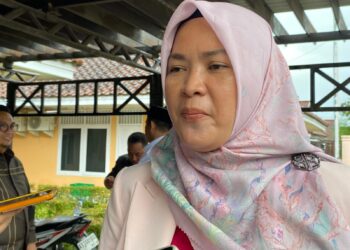 IKN Percepat Pembangunan di Penajam Paser Utara, Yenni Eviliana Soroti Kemajuan Infrastruktur