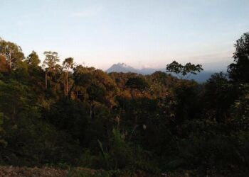 Ekowisata Long Sam, Kolaborasi Alam Dan Konservasi Di Kampung Merasa